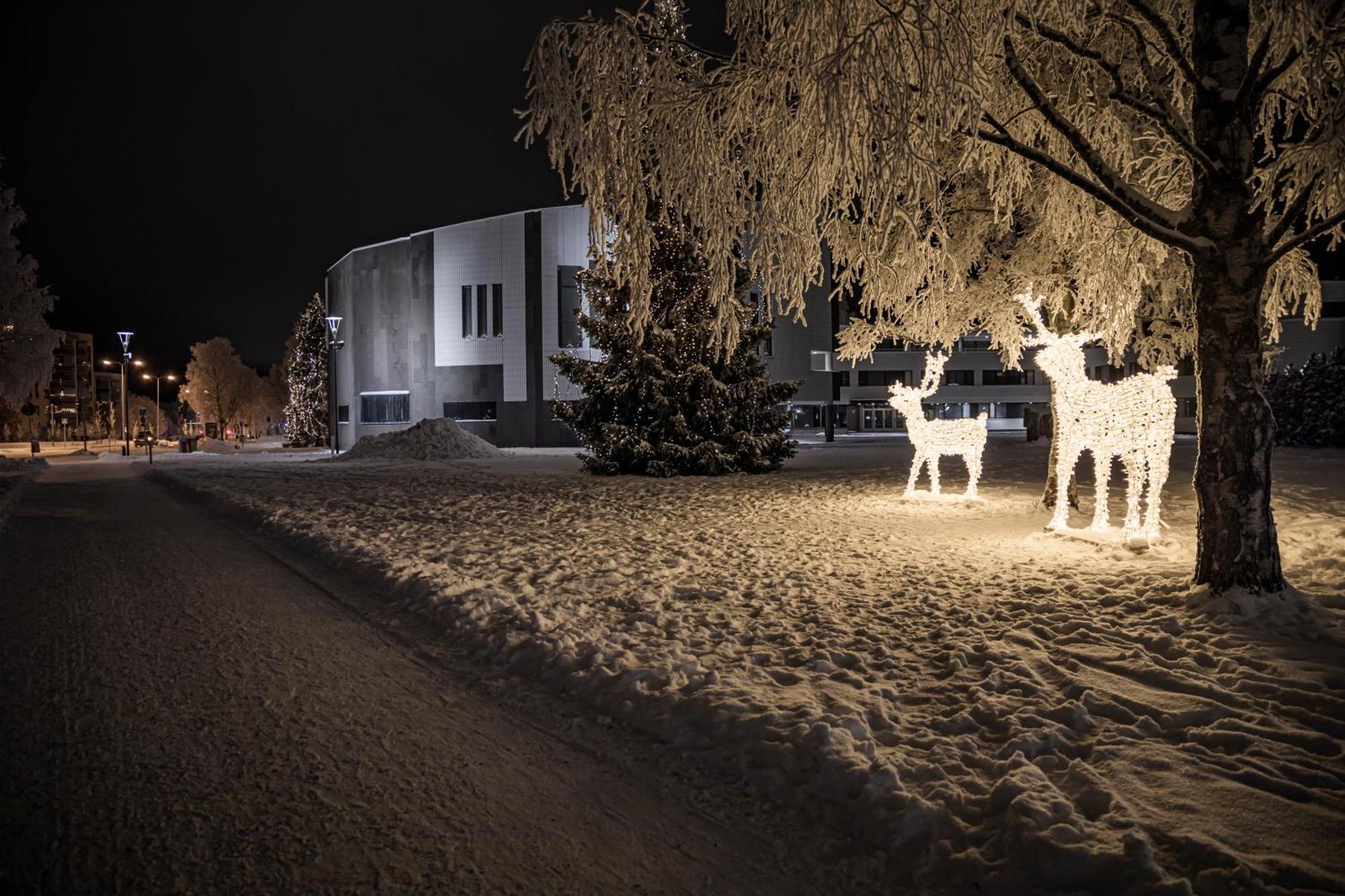 Arctic Aurora Villa With Sauna Rovaniemi Exterior photo